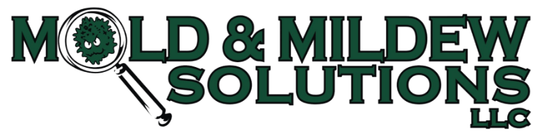 Mold and Mildew Solutions – Alabama Mold Inspection and Remediation