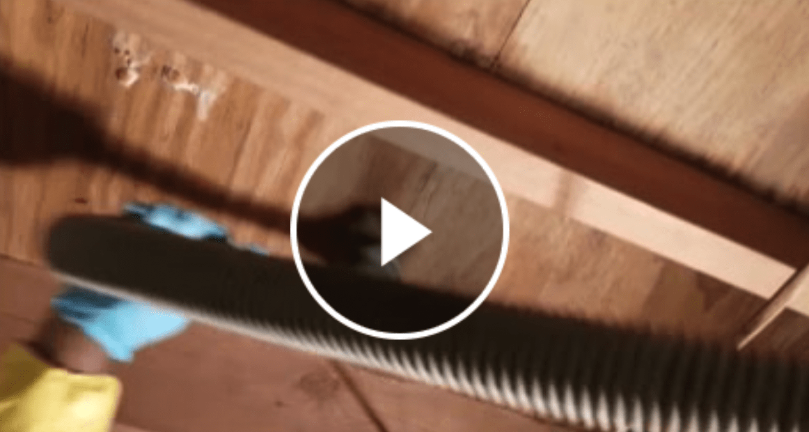 Crawlspace Services - Mold and Mildew Solutions - Alabama Mold ...