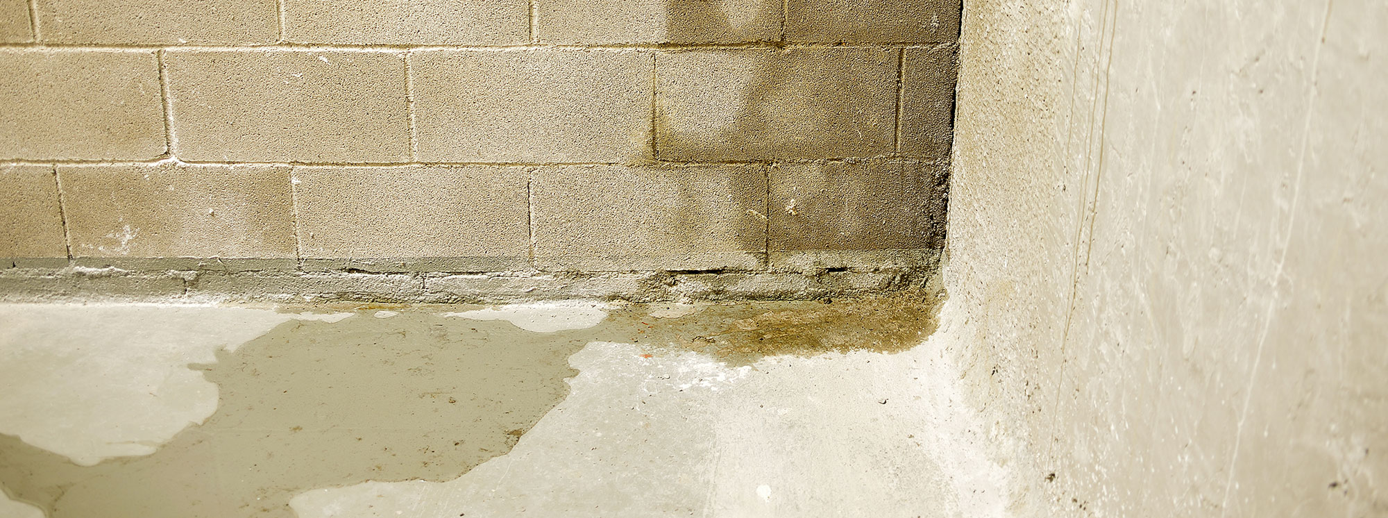 Basement wall with water damage indication, Birmingham AL home.