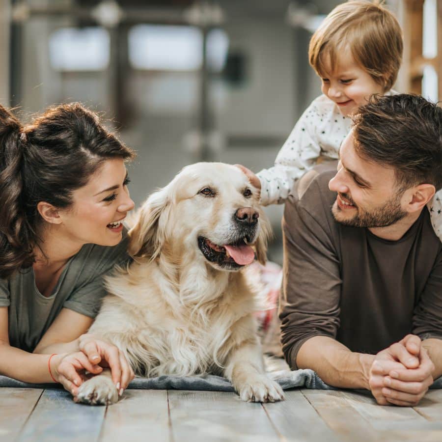 Family with dog enjoying clean home environment
