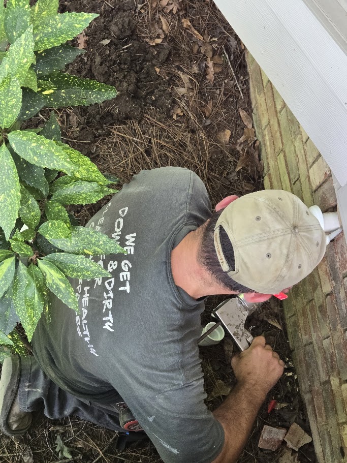 Technician inspecting outer wall for mold and moisture issues.