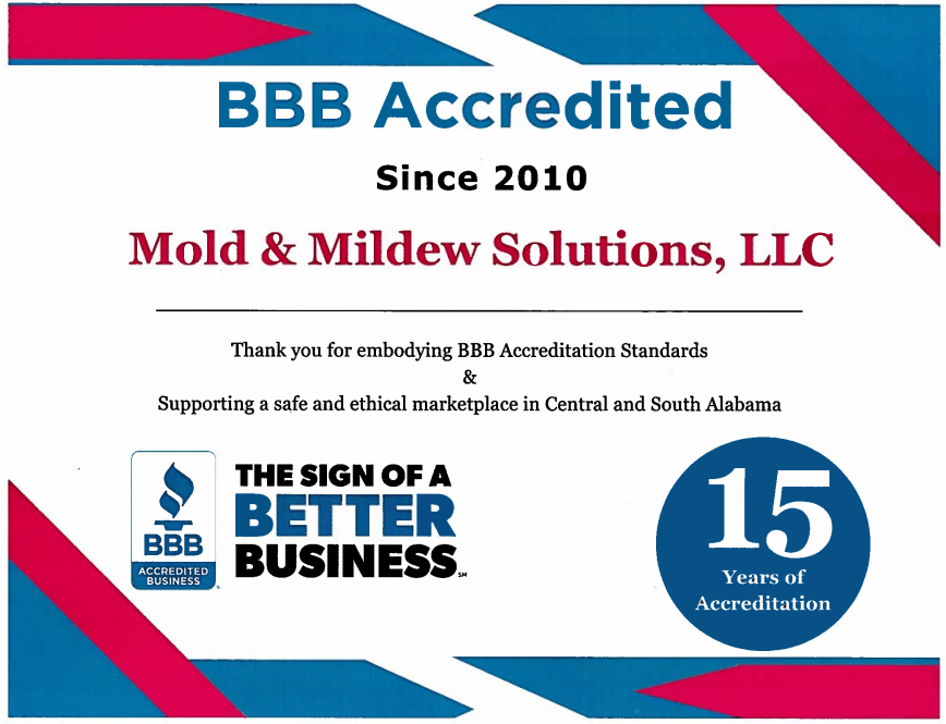 Mold & Mildew Solutions LLC, BBB accredited business since 2010