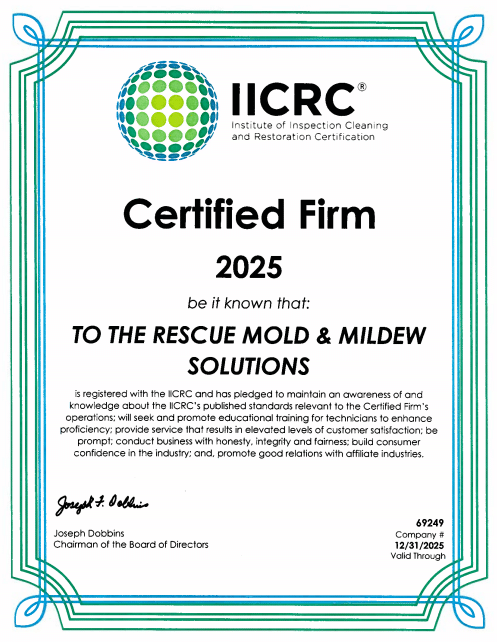 IICRC Certified Firm certificate for Mold and Mildew Solutions.