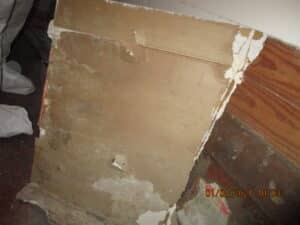 Water-damaged wall with visible mold and peeling paint