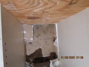 Mold damage on drywall and wood structure needing remediation