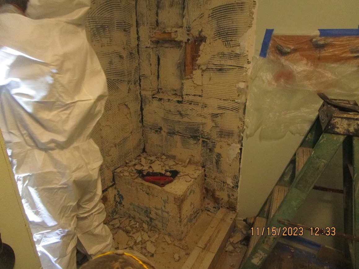 Professional mold remediation process with protective gear