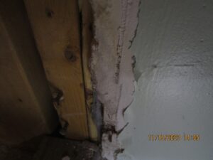 Damaged wall corner showing mold growth and moisture signs