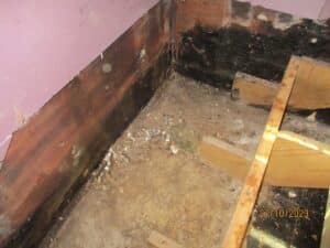 Mold damage and wood rot on a basement wall corner